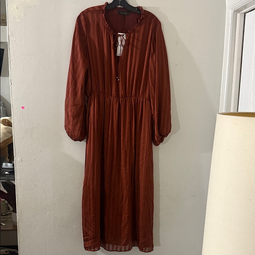 Zara Long Sleeve Maxi Dress in Rust
